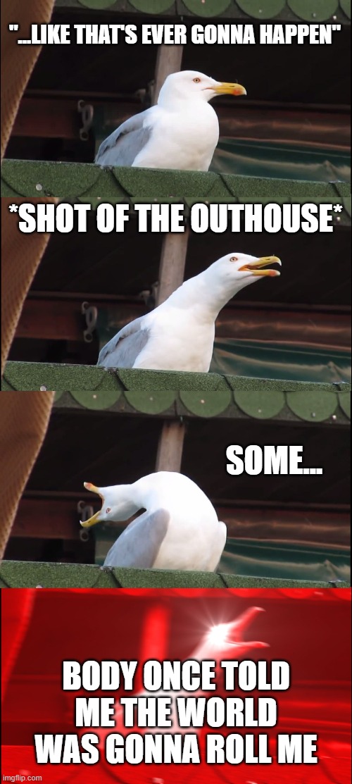 Opening to Shrek | "...LIKE THAT'S EVER GONNA HAPPEN"; *SHOT OF THE OUTHOUSE*; SOME... BODY ONCE TOLD ME THE WORLD WAS GONNA ROLL ME | image tagged in memes,inhaling seagull | made w/ Imgflip meme maker