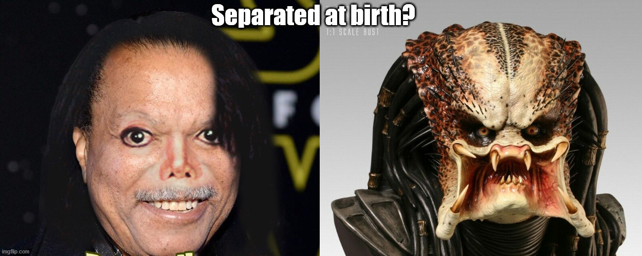 Separated at birth | Separated at birth? | image tagged in michael jackson,predator | made w/ Imgflip meme maker