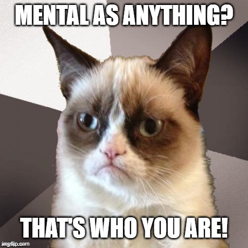 Musically Malicious Grumpy Cat | MENTAL AS ANYTHING? THAT'S WHO YOU ARE! | image tagged in musically malicious grumpy cat,grumpy cat,funny,memes,cats,meme | made w/ Imgflip meme maker