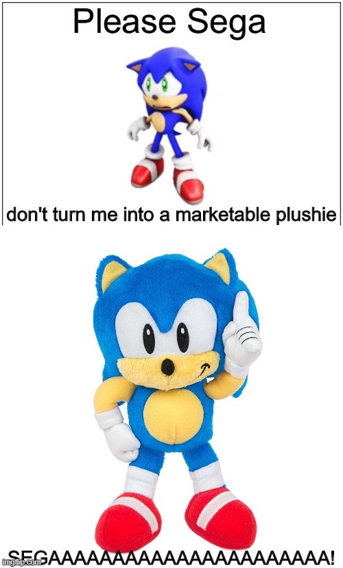 don't turn me into a marketable plushie SEGAAAAAAAAAAAAAAAAAAAAAA! | image tagged in please sega | made w/ Imgflip meme maker