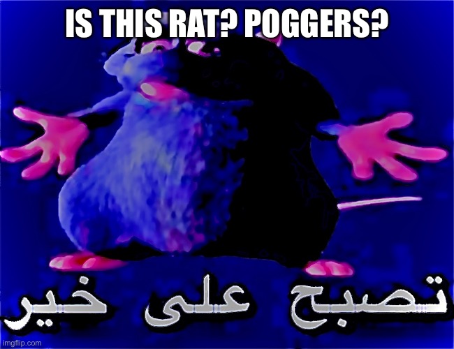 Rat Pog moment ? |  IS THIS RAT? POGGERS? | image tagged in rat,kyle rittenhouse,pog,die hard | made w/ Imgflip meme maker