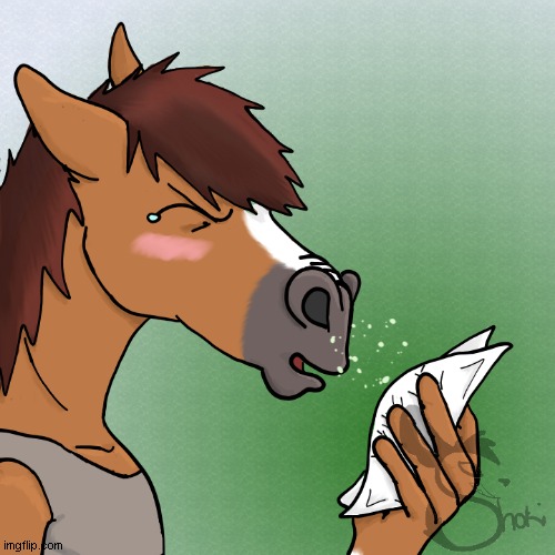 HASHOOOOO!!!!! | image tagged in hashoo,tissue,sneeze,sneezing,horse,nostrils | made w/ Imgflip meme maker