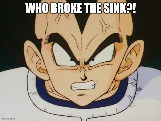 Angry Vegeta (DBZ) | WHO BROKE THE SINK?! | image tagged in angry vegeta dbz | made w/ Imgflip meme maker