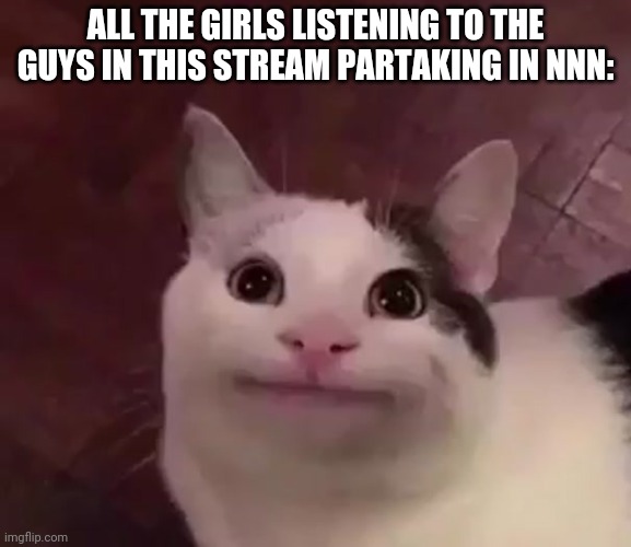 Awkward Cat | ALL THE GIRLS LISTENING TO THE GUYS IN THIS STREAM PARTAKING IN NNN: | image tagged in awkward cat | made w/ Imgflip meme maker