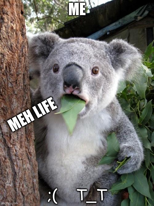 Surprised Koala Meme | ME; MEH LIFE; ;(    T_T | image tagged in memes,surprised koala | made w/ Imgflip meme maker