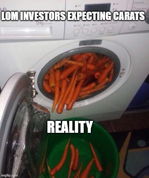 Carot | LOM INVESTORS EXPECTING CARATS; REALITY | image tagged in carot | made w/ Imgflip meme maker
