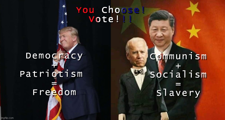 Vote for Freedom not Slavery! | image tagged in vote freedom | made w/ Imgflip meme maker