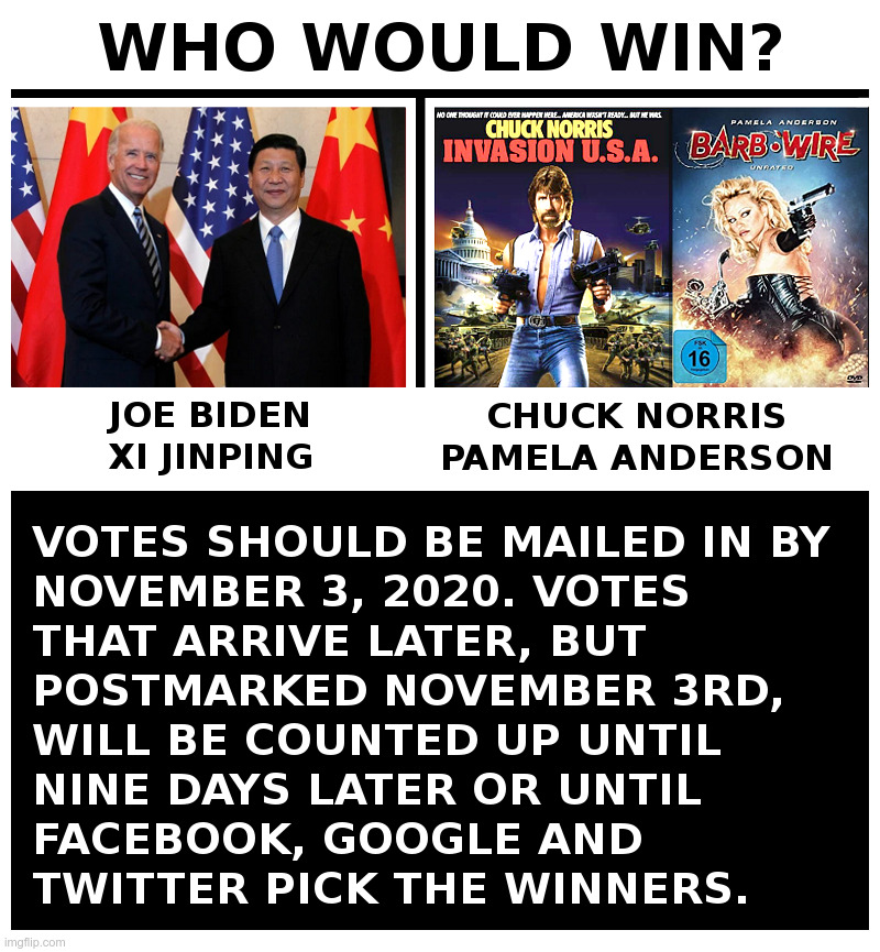 Who Would Win? | image tagged in joe biden,xi jinping,chuck norris,pamela anderson,world war z | made w/ Imgflip meme maker