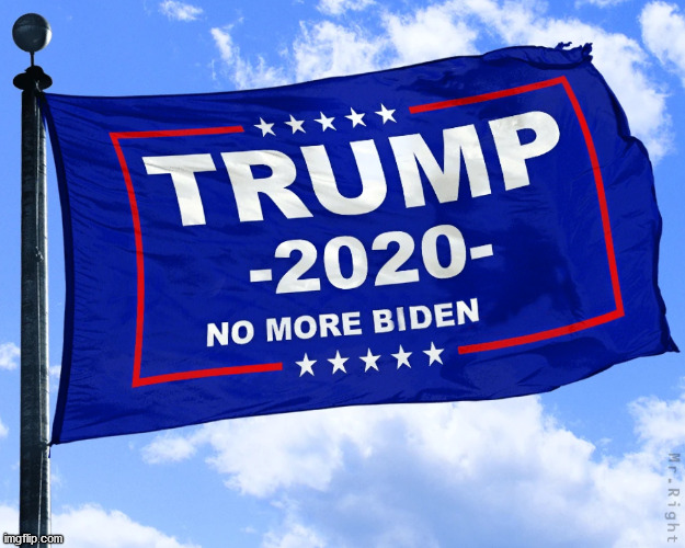trump 2020 | image tagged in trump 2020 | made w/ Imgflip meme maker