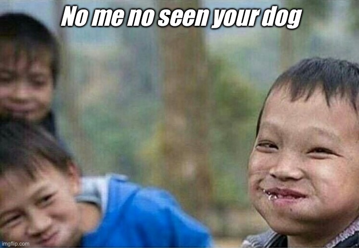No me no seen your dog | image tagged in dark humor,memes | made w/ Imgflip meme maker