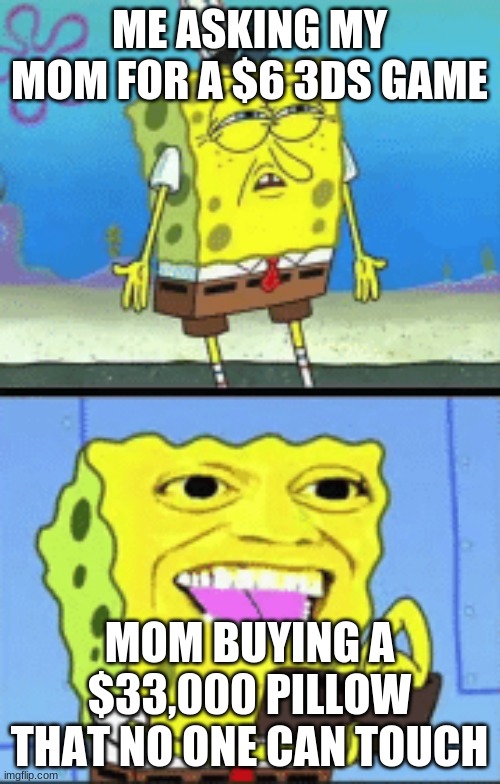 my life meme #8 | ME ASKING MY MOM FOR A $6 3DS GAME; MOM BUYING A $33,000 PILLOW THAT NO ONE CAN TOUCH | image tagged in spongebob money,my life | made w/ Imgflip meme maker