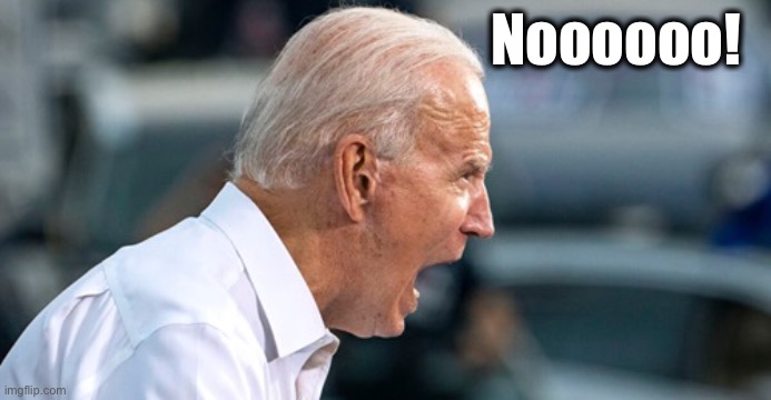 Biden scream | Noooooo! | image tagged in biden scream | made w/ Imgflip meme maker
