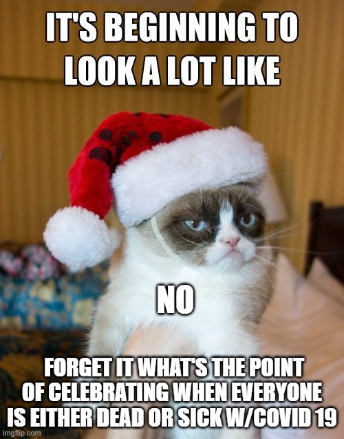 NO; FORGET IT WHAT'S THE POINT OF CELEBRATING WHEN EVERYONE IS EITHER DEAD OR SICK W/COVID 19 | image tagged in its beginning to look at lot like | made w/ Imgflip meme maker