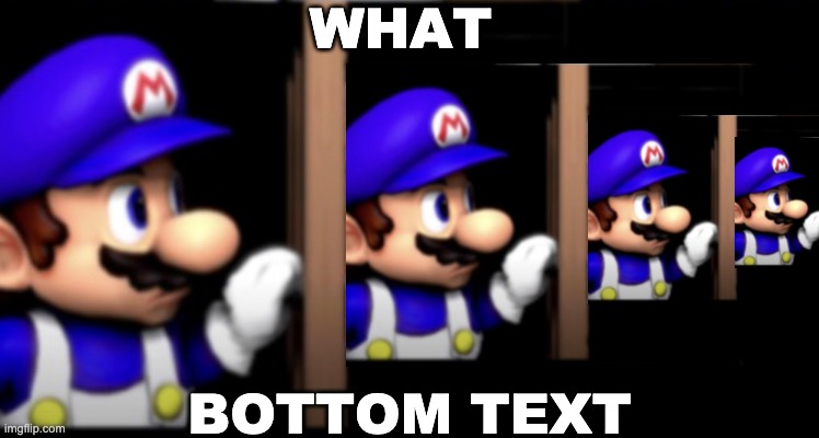 WHAT BOTTOM TEXT | made w/ Imgflip meme maker