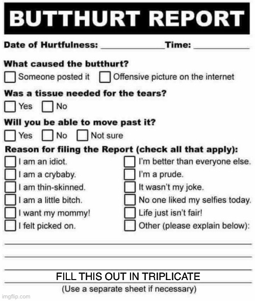 FILL THIS OUT IN TRIPLICATE | made w/ Imgflip meme maker