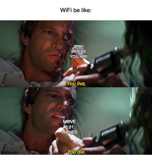 Zeroth World Problems | WiFi be like:; STAY WHERE YOU ARE; MOVE 0.01 INCHES | image tagged in you live you die,memes,wifi,oh crap | made w/ Imgflip meme maker