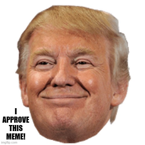 I APPROVE THIS MEME! | made w/ Imgflip meme maker