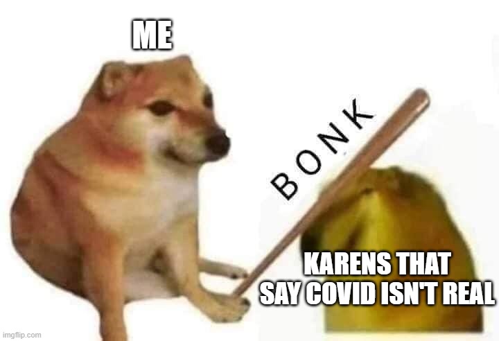 Doge bonk | ME; KARENS THAT SAY COVID ISN'T REAL | image tagged in doge bonk | made w/ Imgflip meme maker
