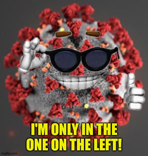 Coronavirus | I'M ONLY IN THE
ONE ON THE LEFT! | image tagged in coronavirus | made w/ Imgflip meme maker