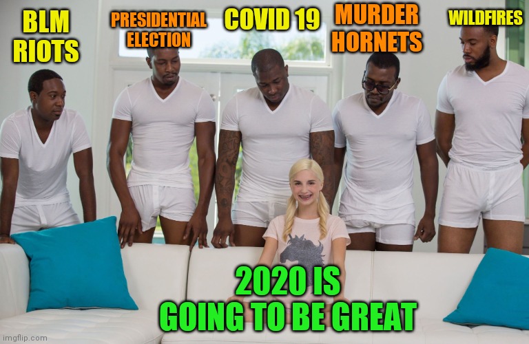 piper perri black orgy | PRESIDENTIAL ELECTION; WILDFIRES; BLM RIOTS; MURDER HORNETS; COVID 19; 2020 IS GOING TO BE GREAT | image tagged in piper perri black orgy | made w/ Imgflip meme maker