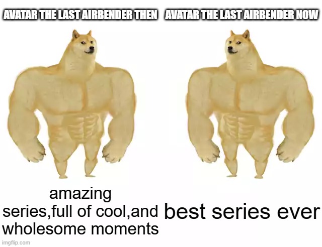 Buff Doge vs Buff Doge | AVATAR THE LAST AIRBENDER THEN; AVATAR THE LAST AIRBENDER NOW; amazing series,full of cool,and wholesome moments; best series ever | image tagged in buff doge vs buff doge | made w/ Imgflip meme maker