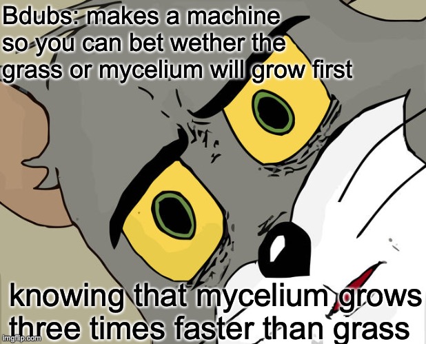 hermit craft problems 5 | Bdubs: makes a machine so you can bet wether the grass or mycelium will grow first; knowing that mycelium grows three times faster than grass | image tagged in memes,unsettled tom | made w/ Imgflip meme maker