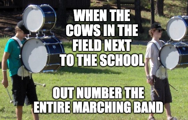 stacked bass drums | WHEN THE COWS IN THE FIELD NEXT TO THE SCHOOL; OUT NUMBER THE ENTIRE MARCHING BAND | image tagged in drumline,marching band,rural school,bass drums,funny | made w/ Imgflip meme maker
