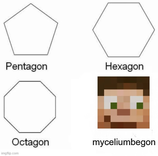 another hermitcraft meme | myceliumbegon | image tagged in memes,pentagon hexagon octagon,hermitcraft | made w/ Imgflip meme maker