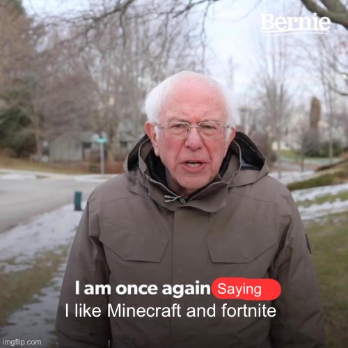 Bernie I Am Once Again Asking For Your Support Meme | Saying I like Minecraft and fortnite | image tagged in memes,bernie i am once again asking for your support | made w/ Imgflip meme maker
