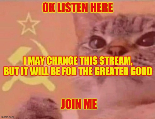 VOTE BEEZ-KJOSH | OK LISTEN HERE; I MAY CHANGE THIS STREAM, BUT IT WILL BE FOR THE GREATER GOOD; JOIN ME | image tagged in communist cat | made w/ Imgflip meme maker