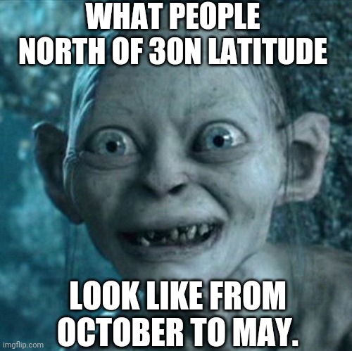 Winter Makes Y'all Look Like Gollum | WHAT PEOPLE NORTH OF 30N LATITUDE; LOOK LIKE FROM OCTOBER TO MAY. | image tagged in memes,gollum,winter | made w/ Imgflip meme maker