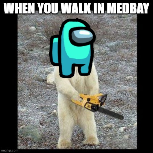 Chainsaw Bear Meme | WHEN YOU WALK IN MEDBAY | image tagged in memes,chainsaw bear | made w/ Imgflip meme maker