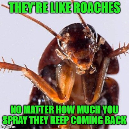 Roach | THEY'RE LIKE ROACHES NO MATTER HOW MUCH YOU SPRAY THEY KEEP COMING BACK | image tagged in roach | made w/ Imgflip meme maker