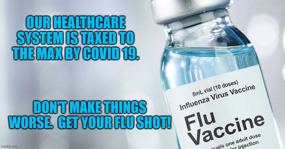 Get You Flu Shot! | OUR HEALTHCARE SYSTEM IS TAXED TO THE MAX BY COVID 19. DON'T MAKE THINGS WORSE.  GET YOUR FLU SHOT! | image tagged in politics | made w/ Imgflip meme maker