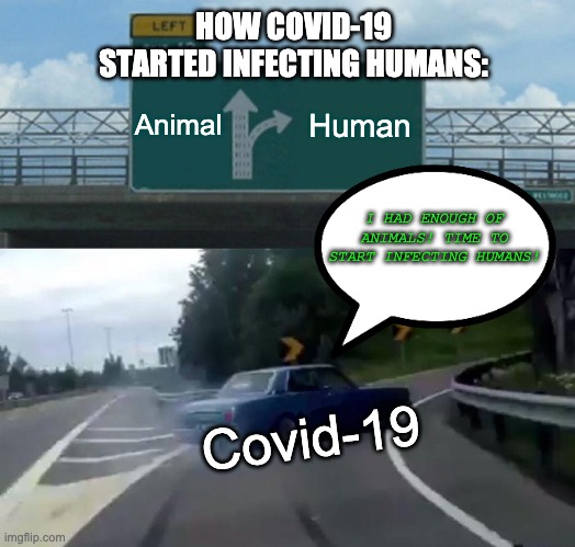 How COVID-19 infected the world! | HOW COVID-19 STARTED INFECTING HUMANS:; Animal; Human; I HAD ENOUGH OF ANIMALS! TIME TO START INFECTING HUMANS! Covid-19 | image tagged in memes,left exit 12 off ramp | made w/ Imgflip meme maker