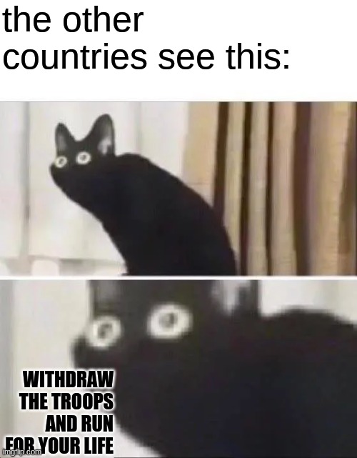 Oh No Black Cat | the other countries see this: WITHDRAW THE TROOPS AND RUN FOR YOUR LIFE | image tagged in oh no black cat | made w/ Imgflip meme maker