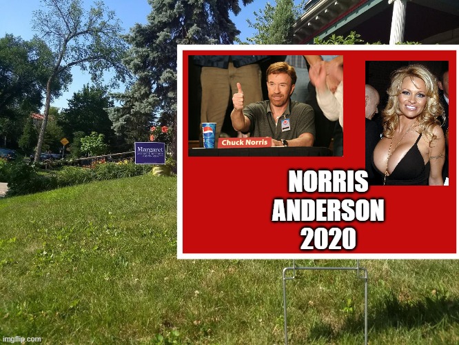 Anti-Mpls2040 Lawn Sign Generator | NORRIS
ANDERSON
2020 | image tagged in anti-mpls2040 lawn sign generator | made w/ Imgflip meme maker