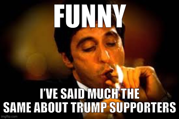 When they say Democrats will still be with us regardless of whether Trump wins. | FUNNY; I’VE SAID MUCH THE SAME ABOUT TRUMP SUPPORTERS | image tagged in al pacino cigar | made w/ Imgflip meme maker