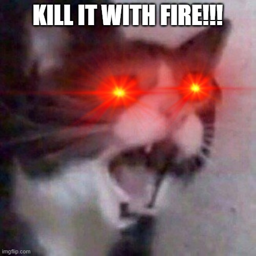 Kill it with fire Screaming cat meme (Trial was here) | KILL IT WITH FIRE!!! | image tagged in screaming cat | made w/ Imgflip meme maker