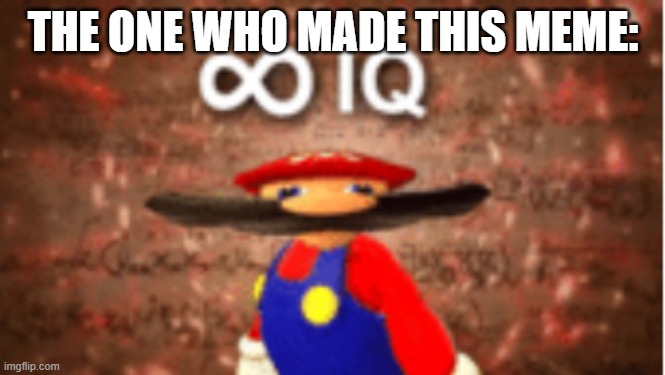 Infinite IQ | THE ONE WHO MADE THIS MEME: | image tagged in infinite iq | made w/ Imgflip meme maker