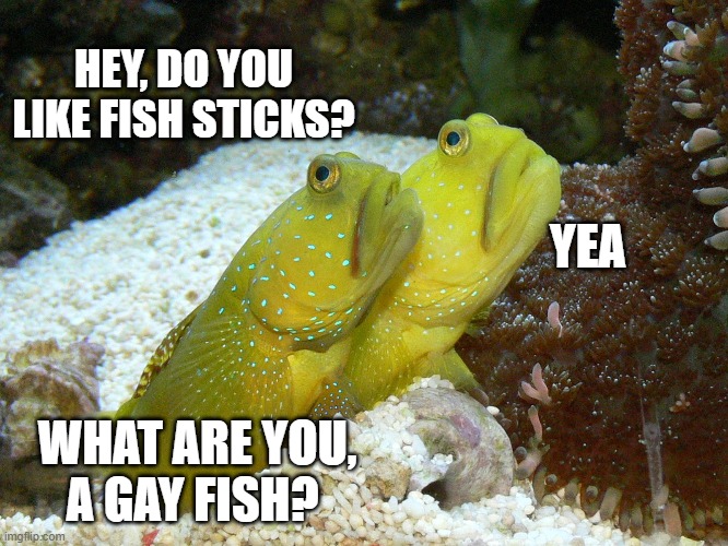 Credit to South park for the joke,  I had to make it | HEY, DO YOU LIKE FISH STICKS? YEA; WHAT ARE YOU, A GAY FISH? | image tagged in southpark,gay,fish,funny memes,lol so funny | made w/ Imgflip meme maker