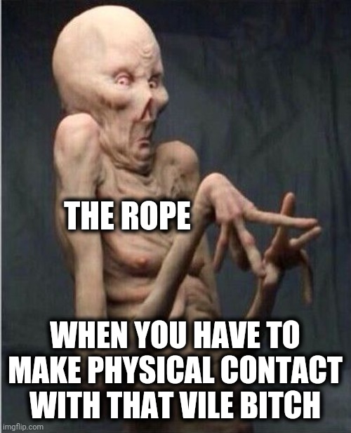 Grossed Out Alien | THE ROPE WHEN YOU HAVE TO MAKE PHYSICAL CONTACT WITH THAT VILE BITCH | image tagged in grossed out alien | made w/ Imgflip meme maker