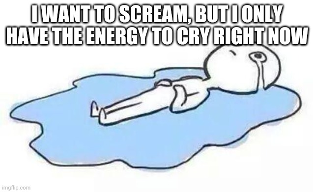 Person Crying | I WANT TO SCREAM, BUT I ONLY HAVE THE ENERGY TO CRY RIGHT NOW | image tagged in person crying | made w/ Imgflip meme maker