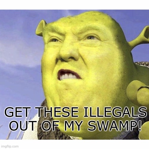 Donald Trump Shrek | GET THESE ILLEGALS OUT OF MY SWAMP! | image tagged in donald trump shrek | made w/ Imgflip meme maker