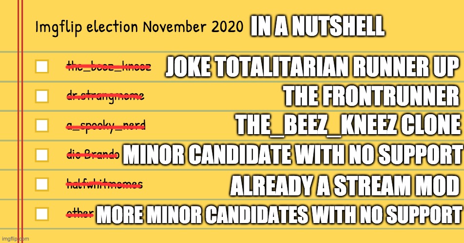 Vote Dr.Strangmeme! | IN A NUTSHELL; JOKE TOTALITARIAN RUNNER UP; THE FRONTRUNNER; THE_BEEZ_KNEEZ CLONE; MINOR CANDIDATE WITH NO SUPPORT; ALREADY A STREAM MOD; MORE MINOR CANDIDATES WITH NO SUPPORT | image tagged in funny,memes,politics | made w/ Imgflip meme maker
