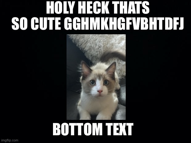 Literally a response from my friend | HOLY HECK THATS SO CUTE GGHMKHGFVBHTDFJ; BOTTOM TEXT | image tagged in black background | made w/ Imgflip meme maker