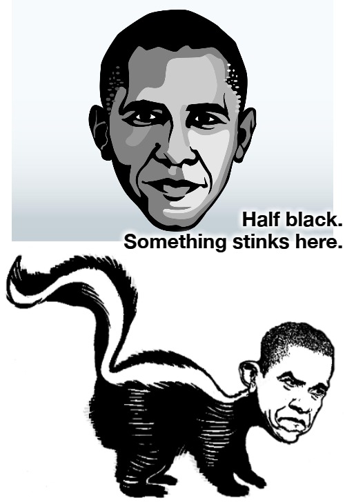 Half Black Obama Race Card | Half black. Something stinks here. | image tagged in aflac,half black,something stinks here,barack obama,half racist,obama race card | made w/ Imgflip meme maker