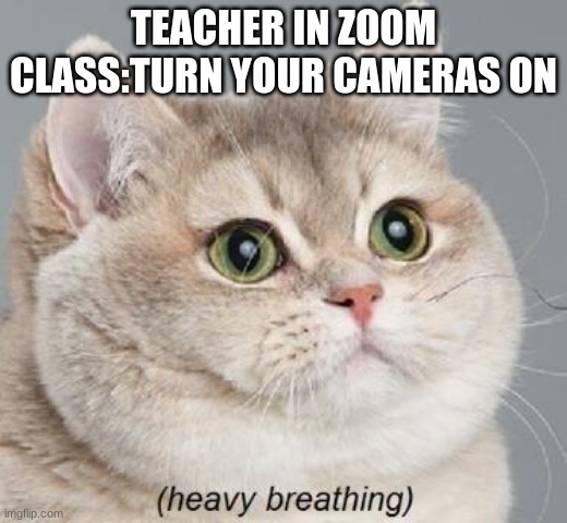 Zoom Meme | TEACHER IN ZOOM CLASS:TURN YOUR CAMERAS ON | image tagged in memes,heavy breathing cat | made w/ Imgflip meme maker