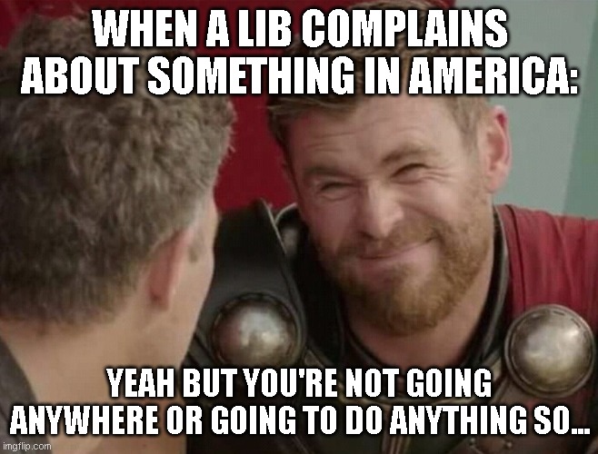 Should it though | WHEN A LIB COMPLAINS ABOUT SOMETHING IN AMERICA:; YEAH BUT YOU'RE NOT GOING ANYWHERE OR GOING TO DO ANYTHING SO... | image tagged in should it though | made w/ Imgflip meme maker