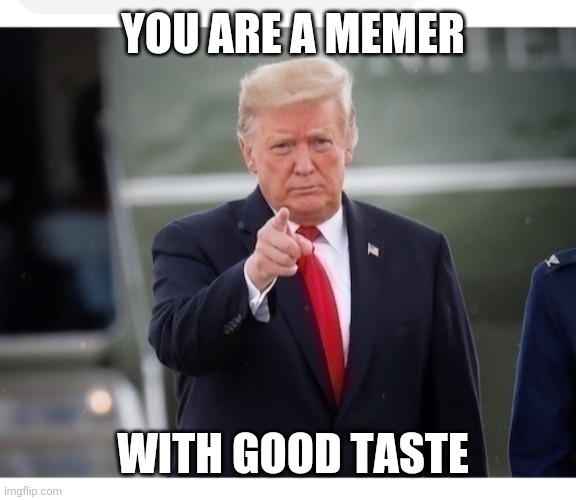 YOU ARE A MEMER WITH GOOD TASTE | made w/ Imgflip meme maker